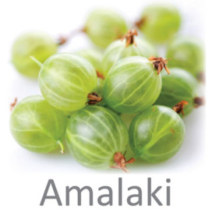 amalaki