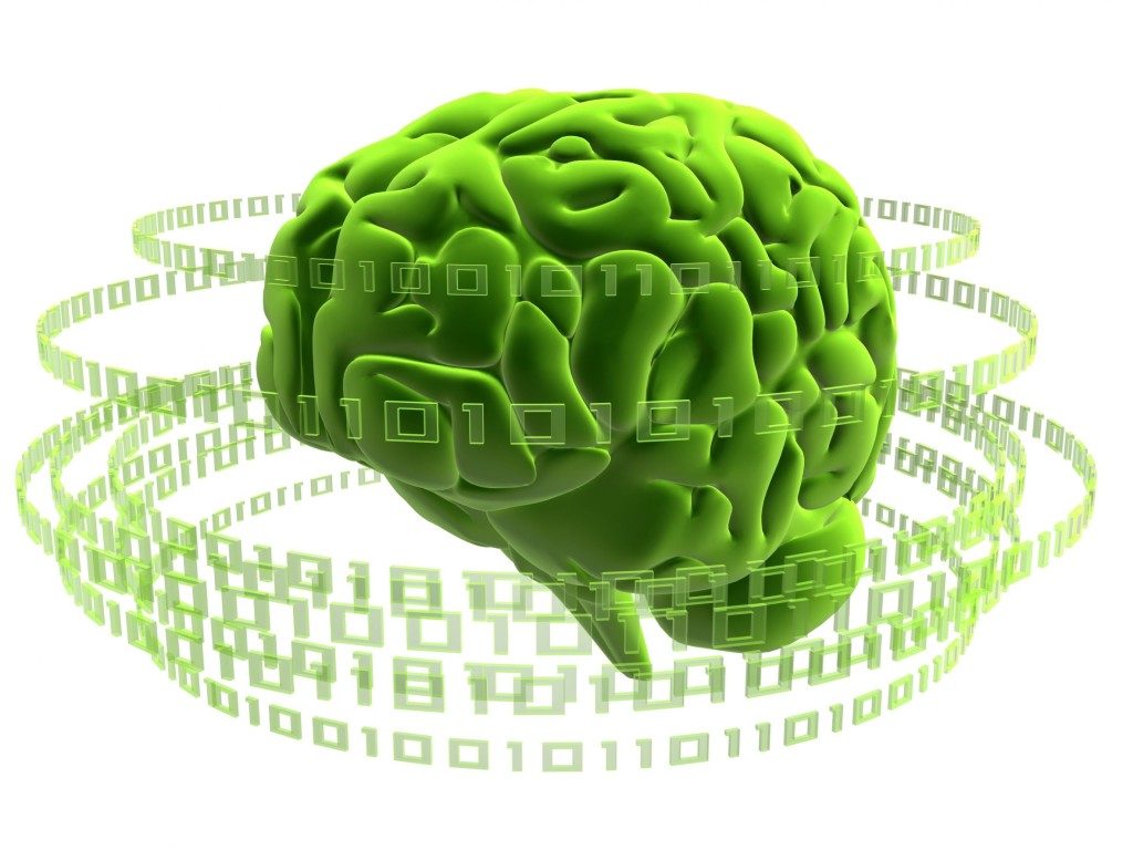 vide2brain digital